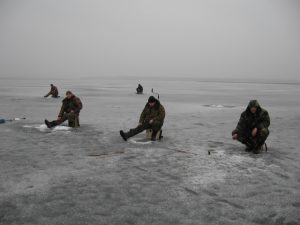 Изображение 223