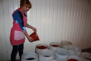 папаўненне сямейнага бюдж.