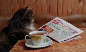 IMG_20160330_212454_BURST002