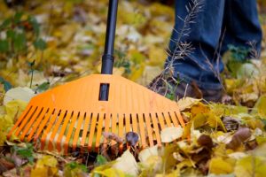 e99e43fd6bcdedb74871dc618f251bef