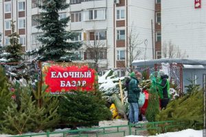 bdd2d714f0745cb9e47488232ab7bf55_XL